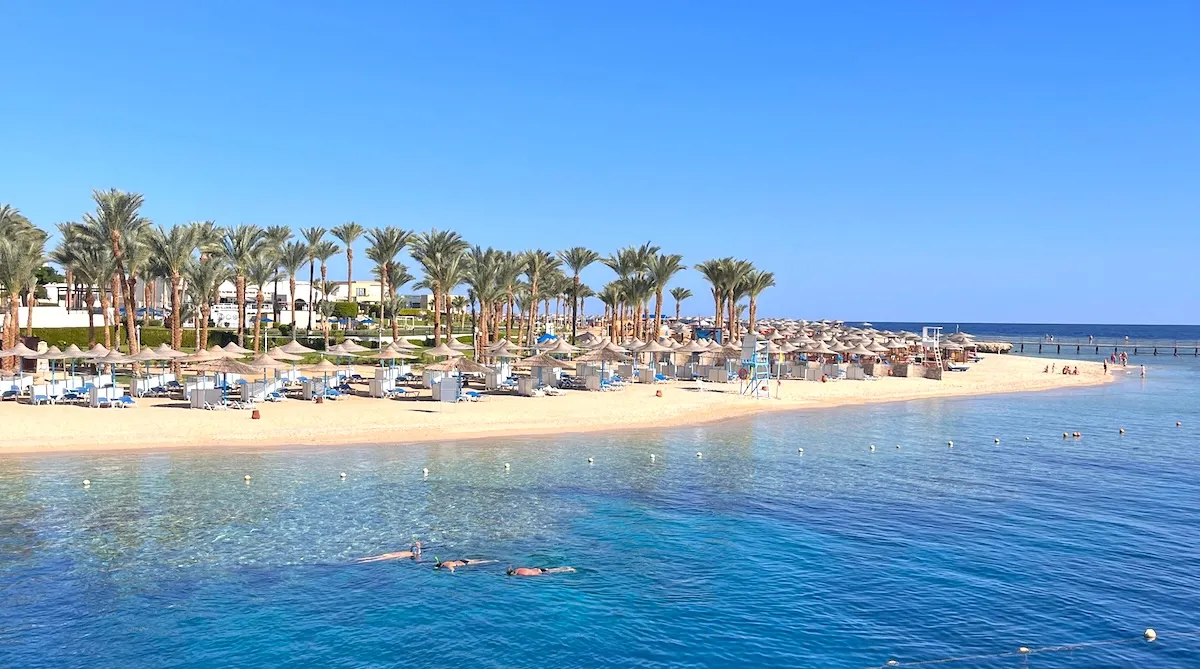 A hotel's private beach in Sahl Hasheesh, with palm trees, straw parasols and sunbeds, and snorkellers in the clear water in front